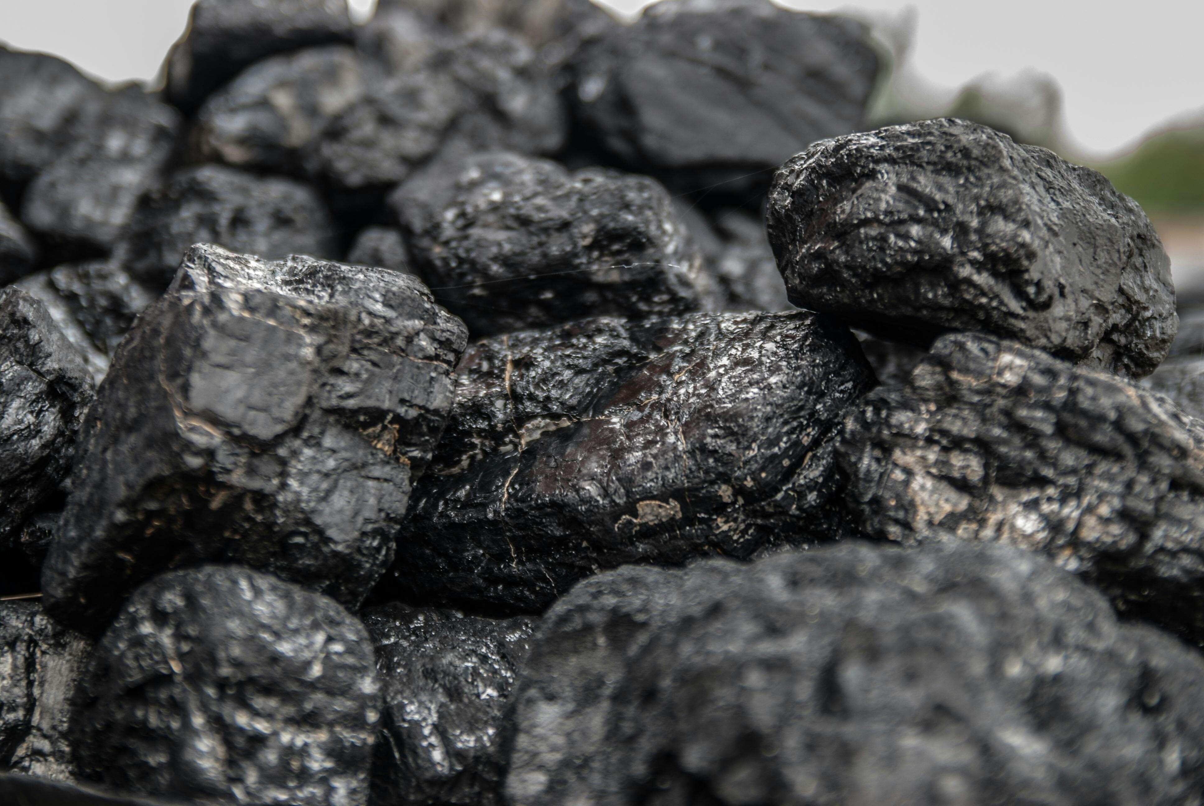 Coking coal (Mongolia)