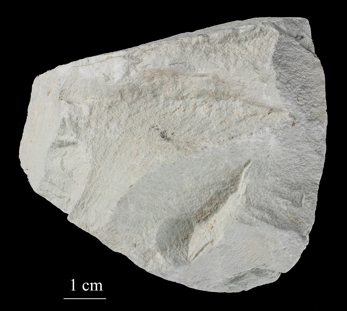 Zeolite deposit (Mongolia)